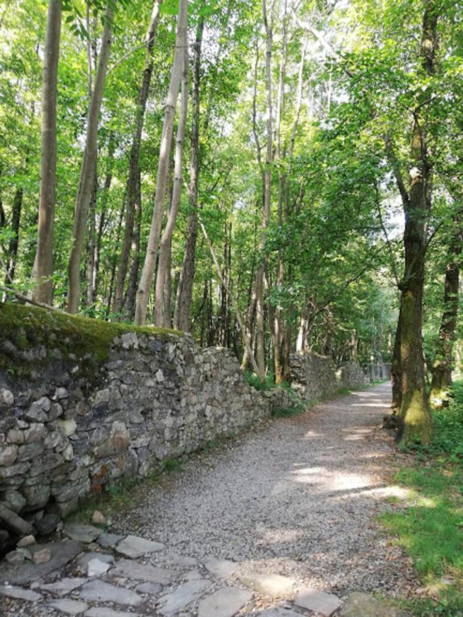 Bolzano Novarese La Baia D'Acquadolce 빌라 외부 사진